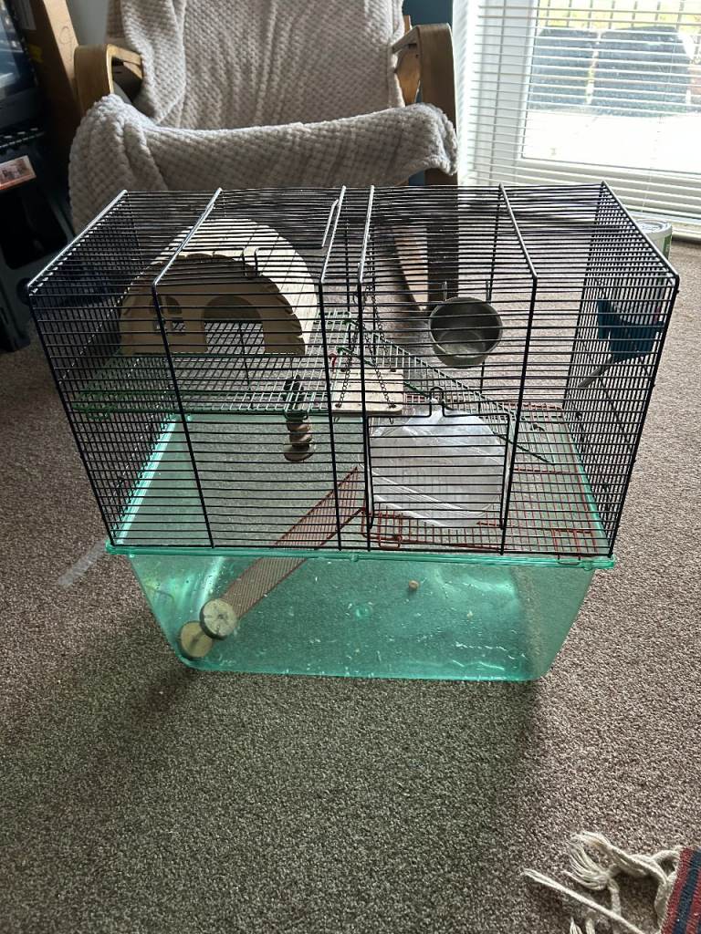 gerbil cage