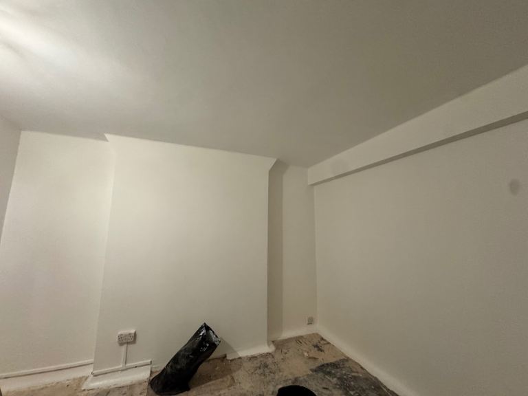 Professional painting and decorating 
