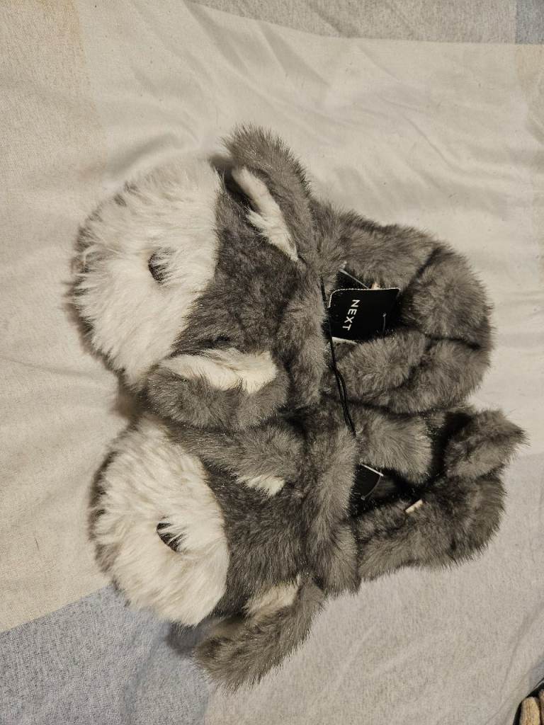 Dog slippers (Next)