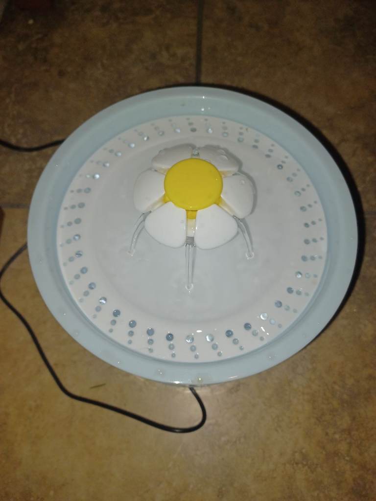 Cat's Water Fountain 