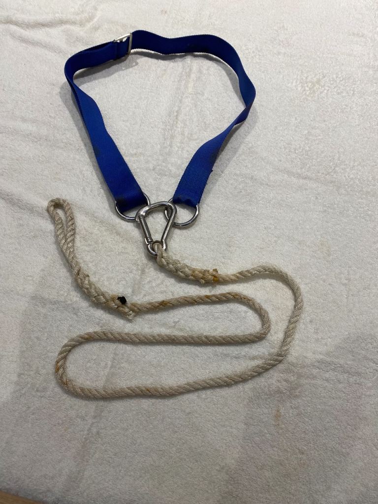 Six Yachting SAFETY HARNESSES