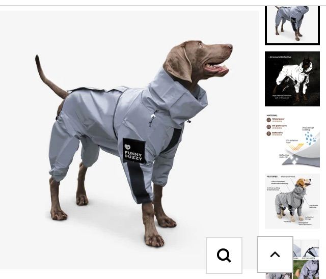 XL all weather waterproof dog coat reflective