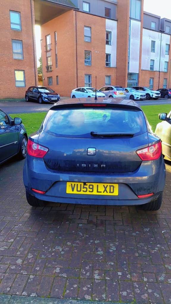 Seat, IBIZA, Hatchback, 2009, Manual, 1390 (cc), 3 doors