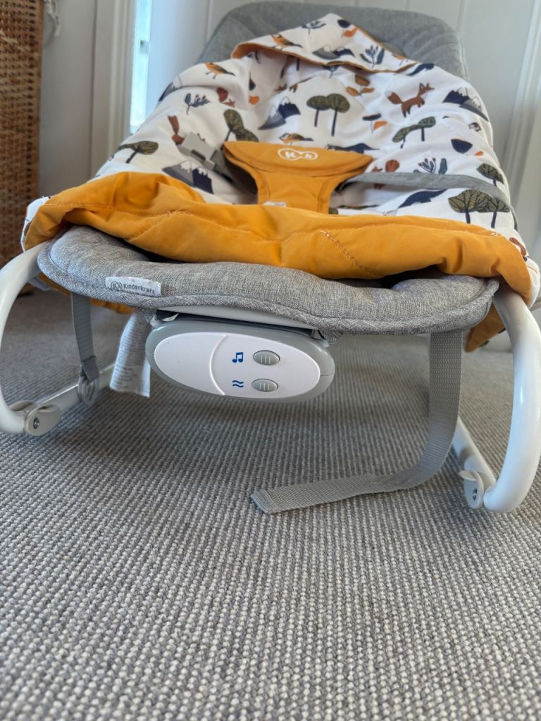 Baby bouncer