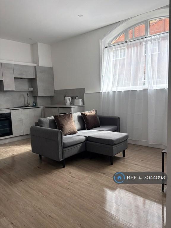 1 bedroom flat in Silvester St, Hull, HU1 (1 bed) (#3044093)