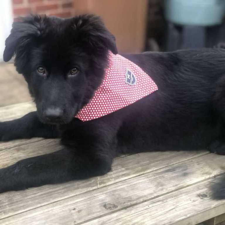 Looking  for  a  new home for Storm 