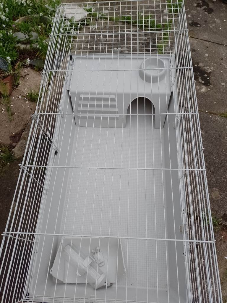 Indoor guinea pig/rabbit pen
