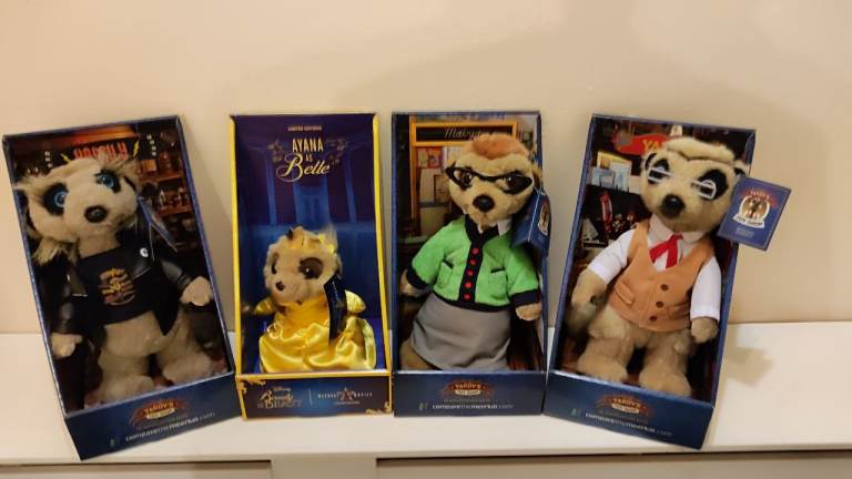 Meerkats 