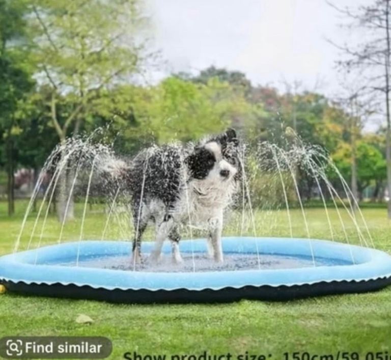 Brand new pet sprinkler 