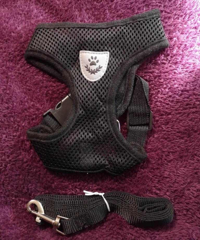 Size Medium Dog Harness - Black Breathable Mesh - Brand New