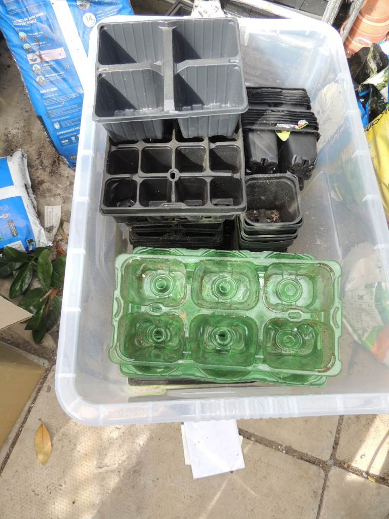 image for Garden, - Seed - Plant Trays - Free