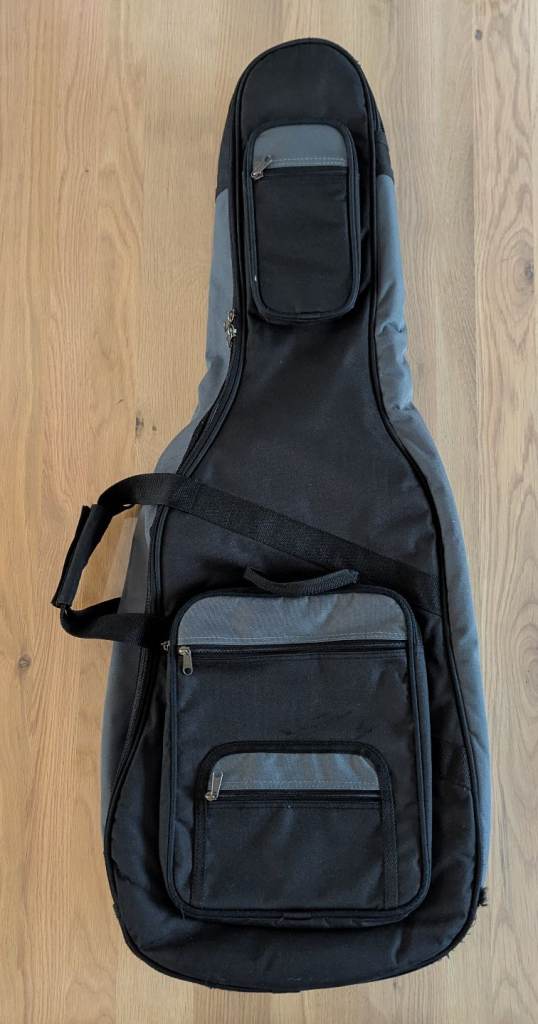 Freshman FA1AN electro acoustic guitar with bag