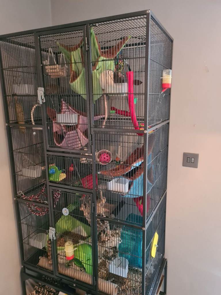 Large pet cage