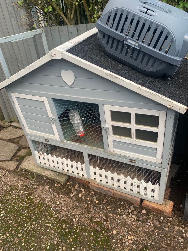2 tier Rabbit hutch with extender and carrier 