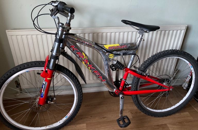 Adult mountain bike mtb