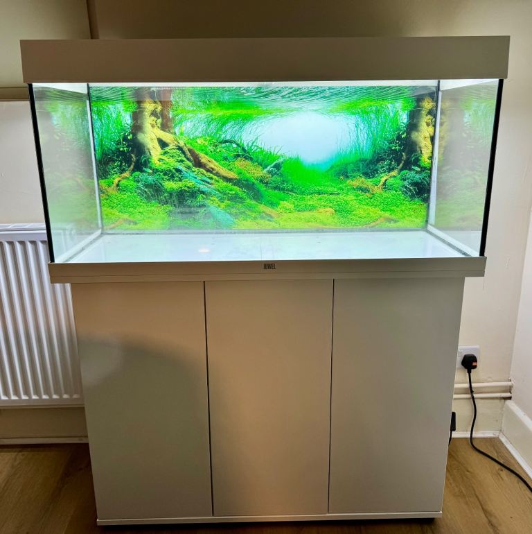 Aquarium For Sale