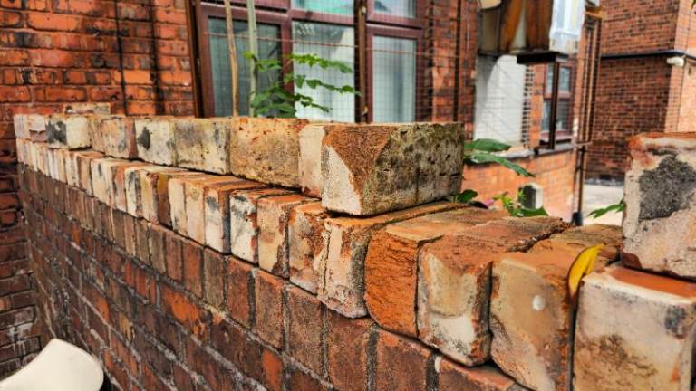 Free Bricks