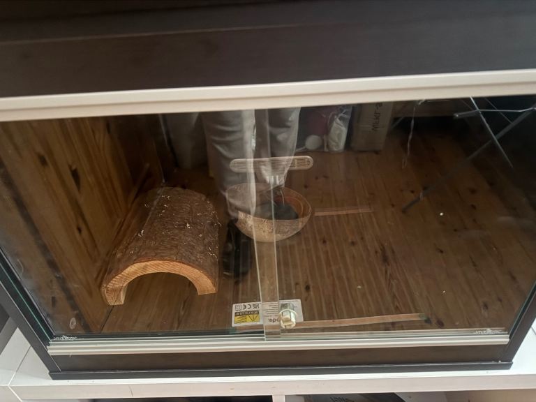 Two reptile tanks