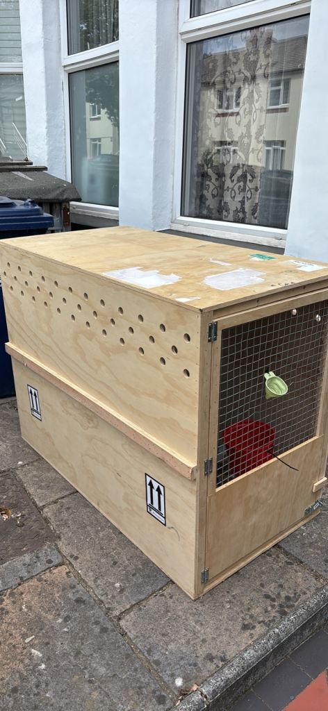 Dog Travel Crate - IATA approved 