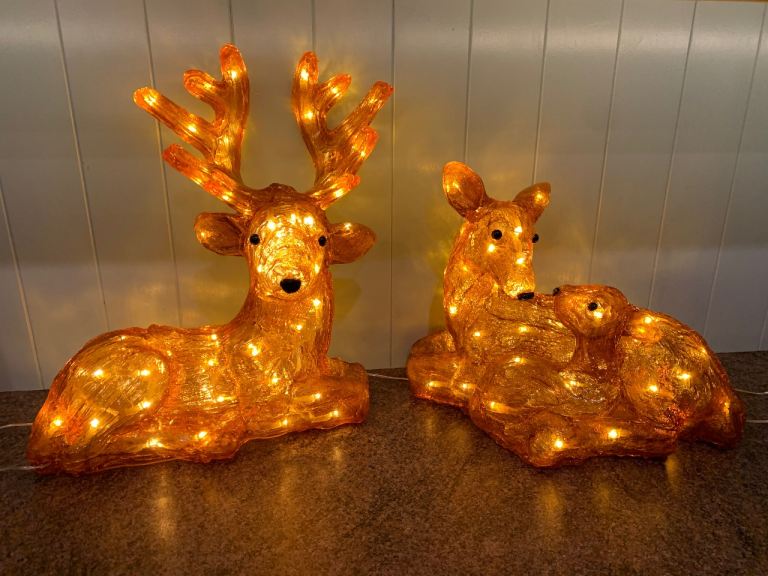 Acrylic light up Reindeer