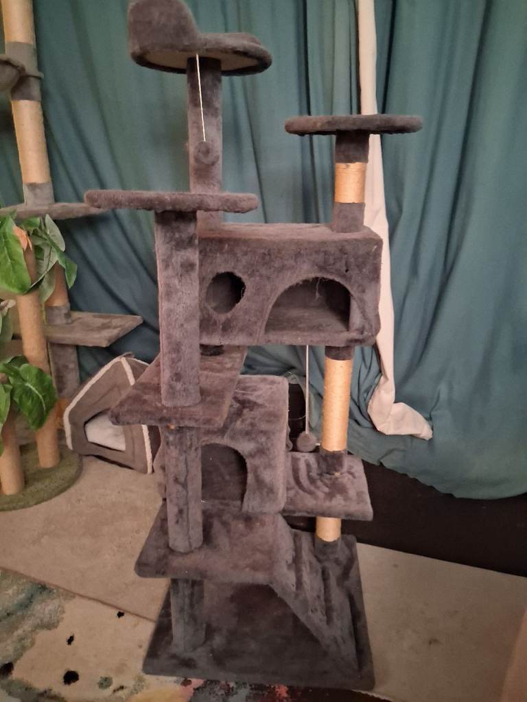 Cat scratcher/house/play accessory 