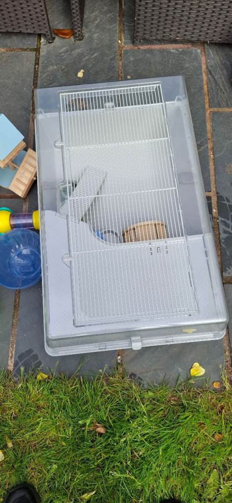 Hamster cage 
