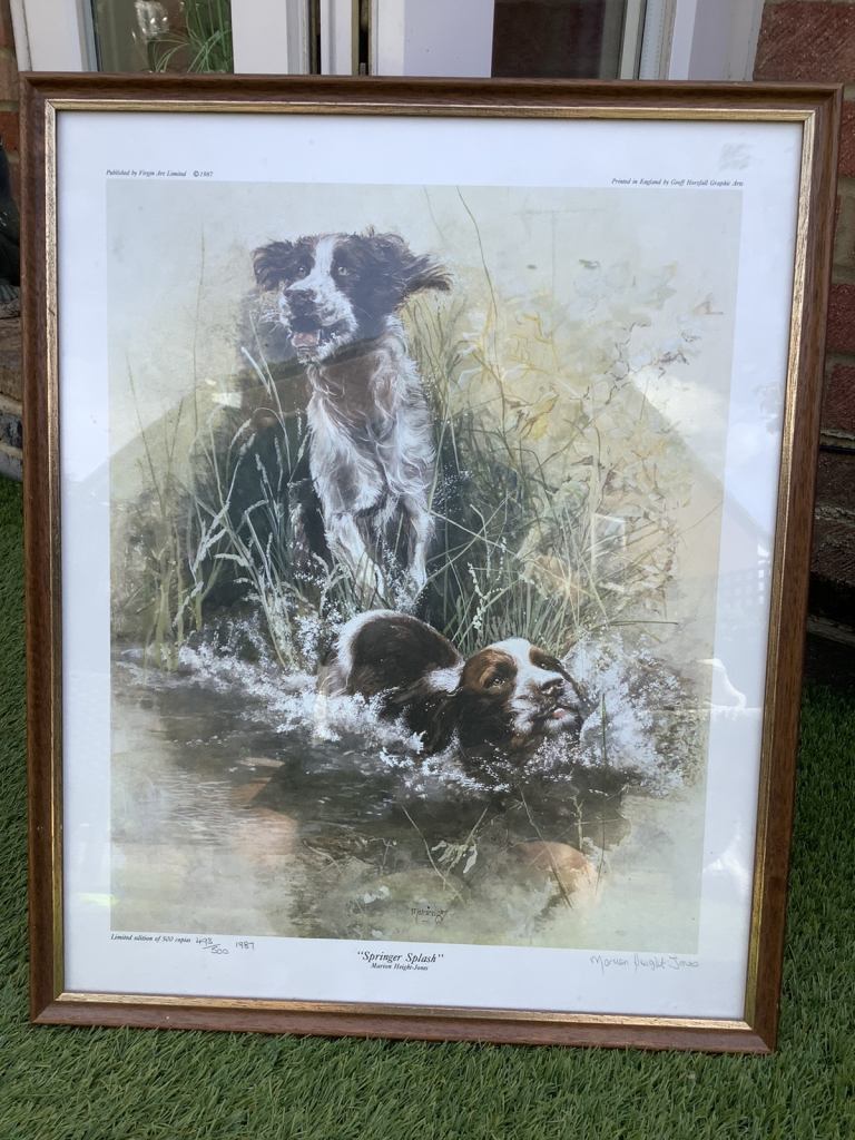 Marion height-jones “springer splash” Ltd ed print 493/500 