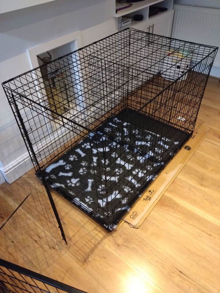 Midwest XL dog crate