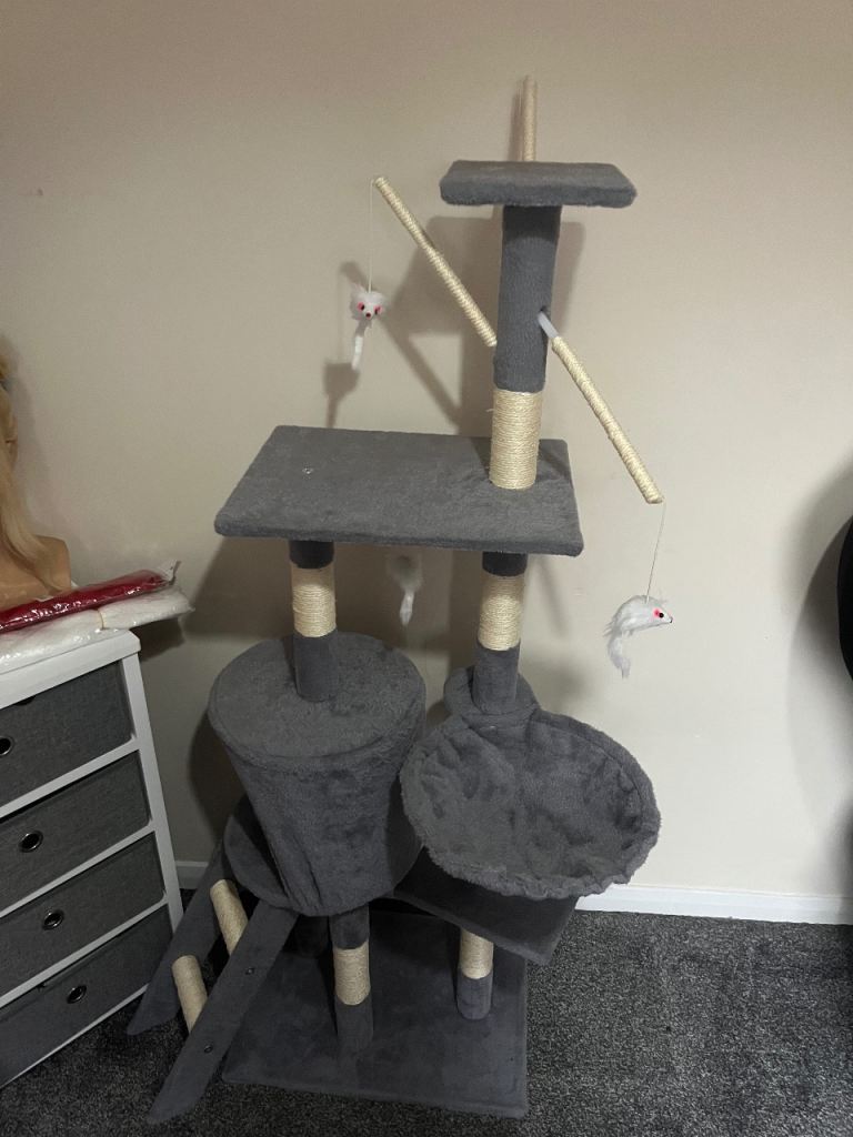 Large cat scratch brand new 