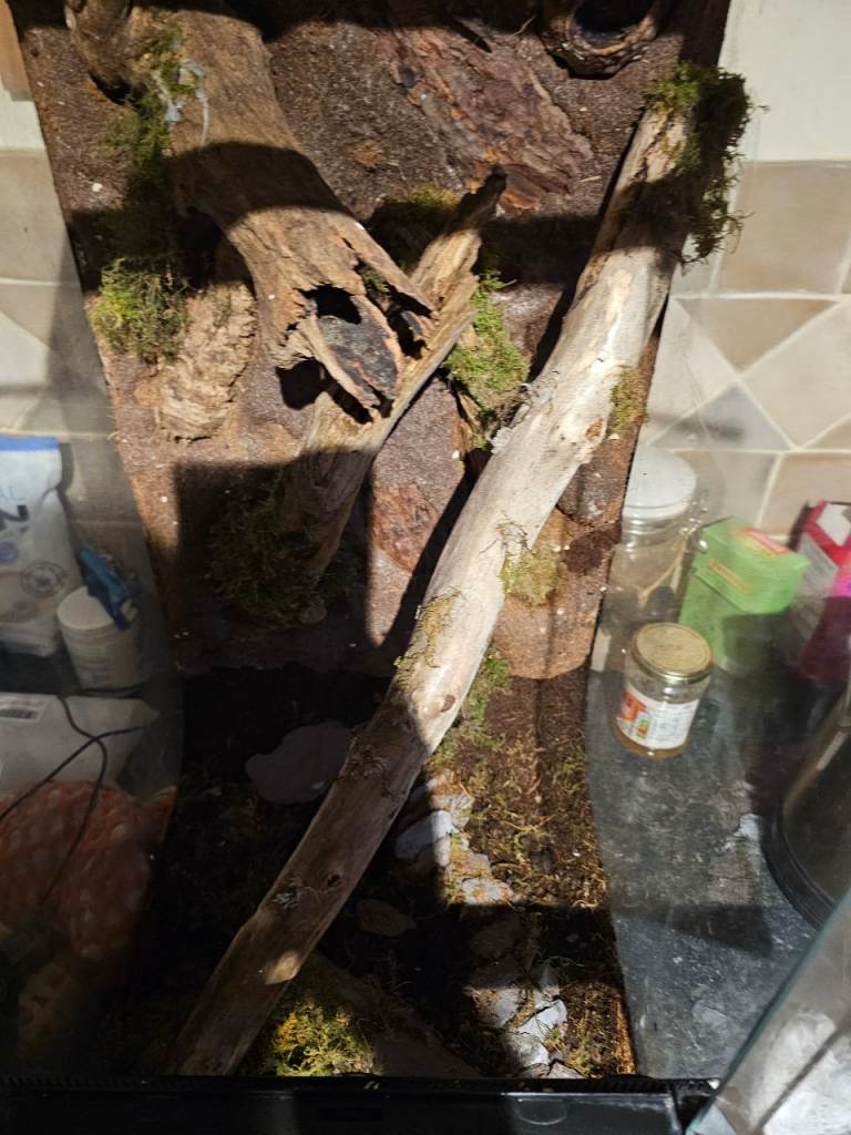 Exo terra 30x30x60 vivarium 