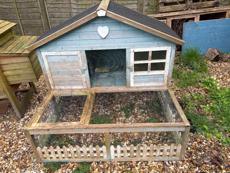 Guinea pig hutch and run