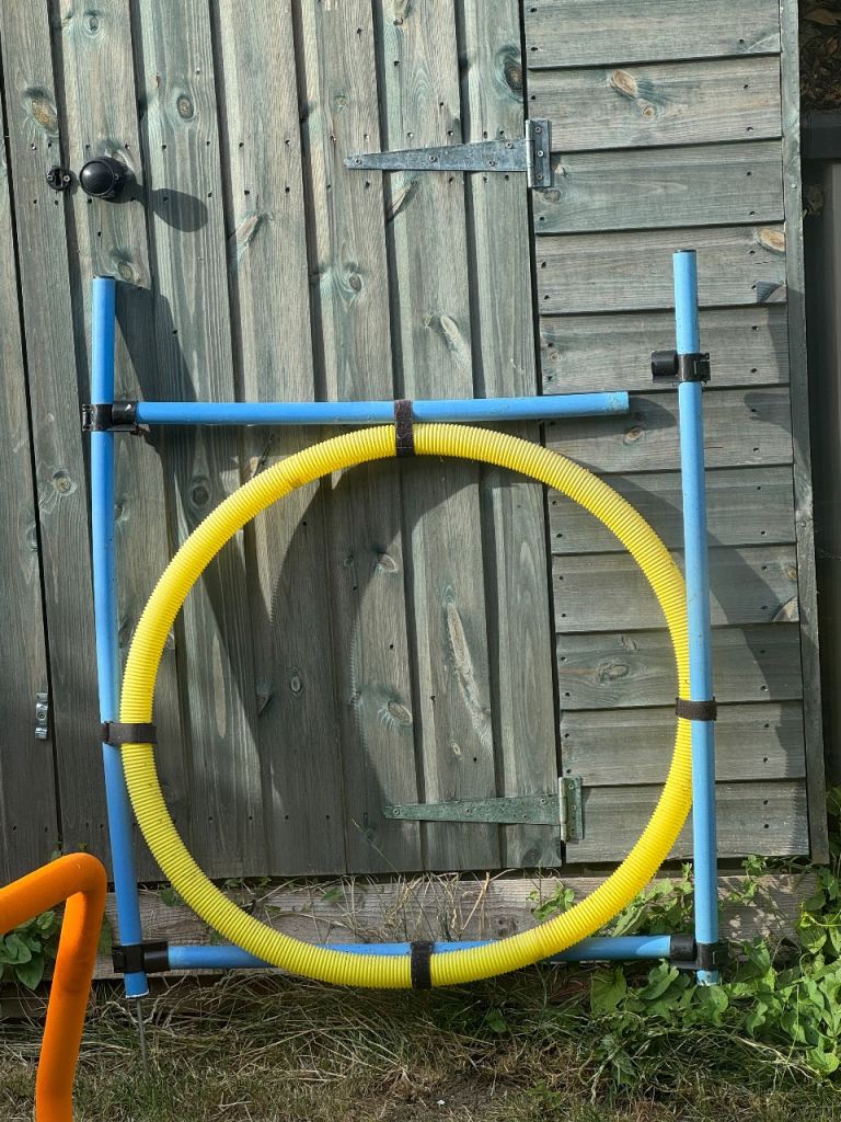 Dog agility hoop
