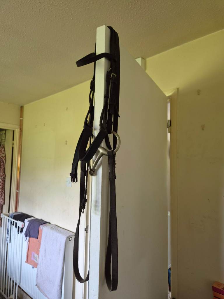 Leather horse bridle for sale 