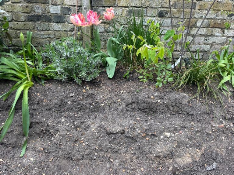 Free garden soil 