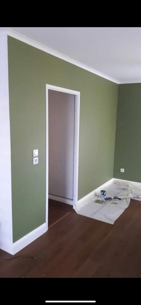 Rocco’s professional painting service 24/7