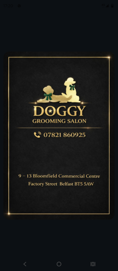 Dog groomer Belfast 
