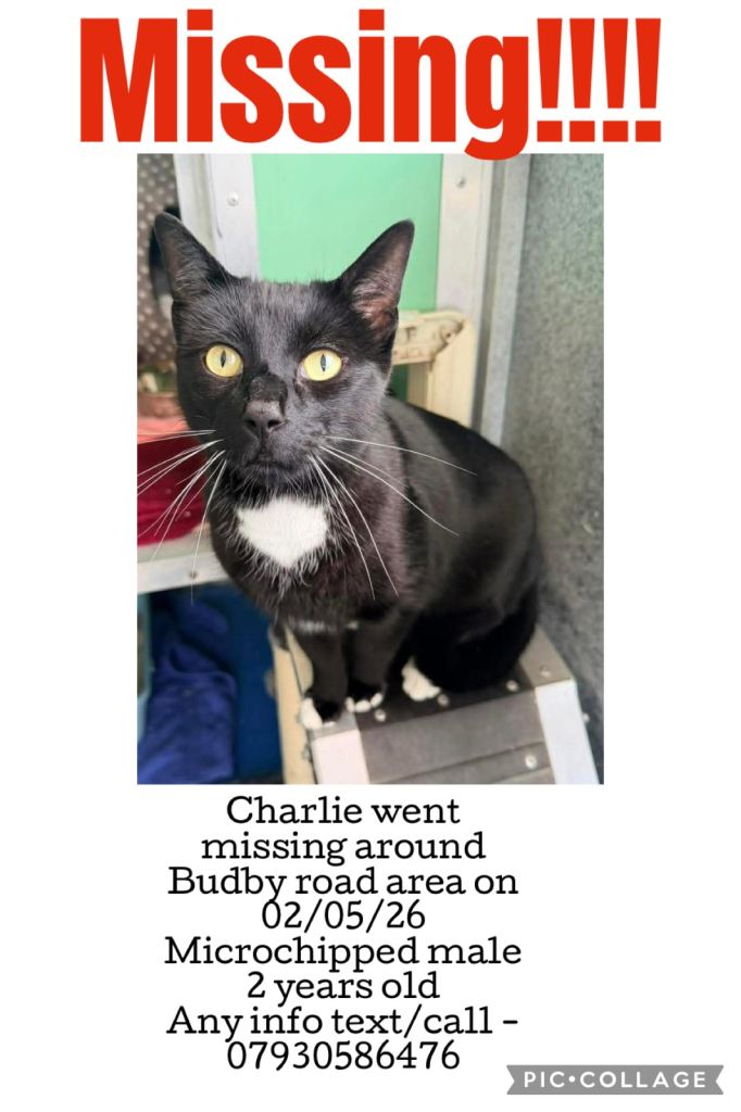 Charlie is missing 
