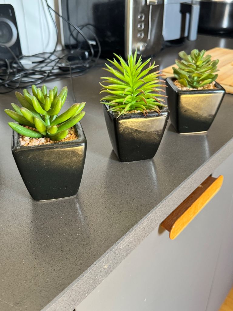 Small artificial Plants in Black Pots and a small bonsai tree 