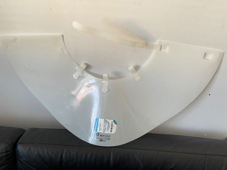 Dog Collar Cone