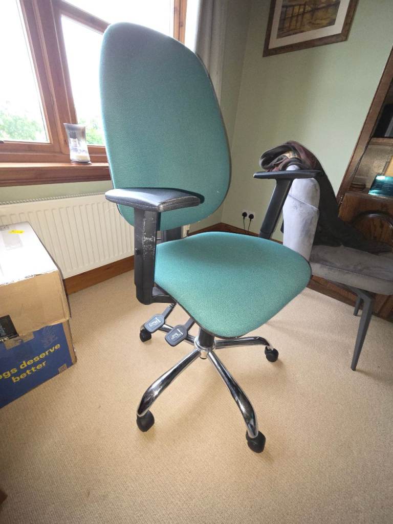 Multi-adjustable Office Chair