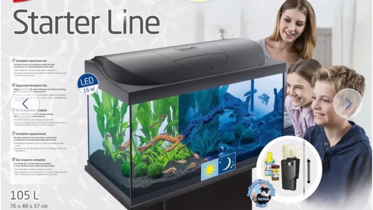 Fish tank and accessories 