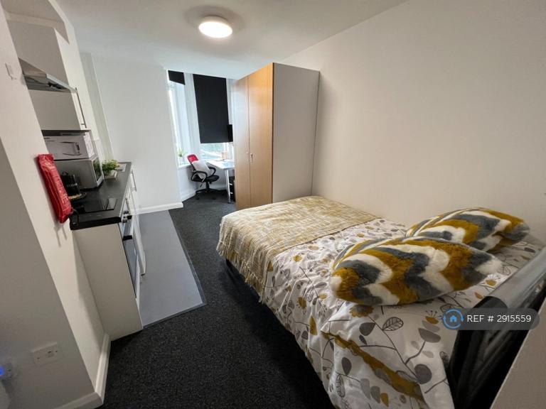 Studio flat in Regent Road, Leicester, LE1 (#2915559)