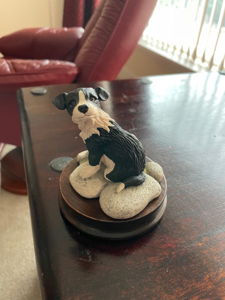 Border Fine Arts Collie Puppy