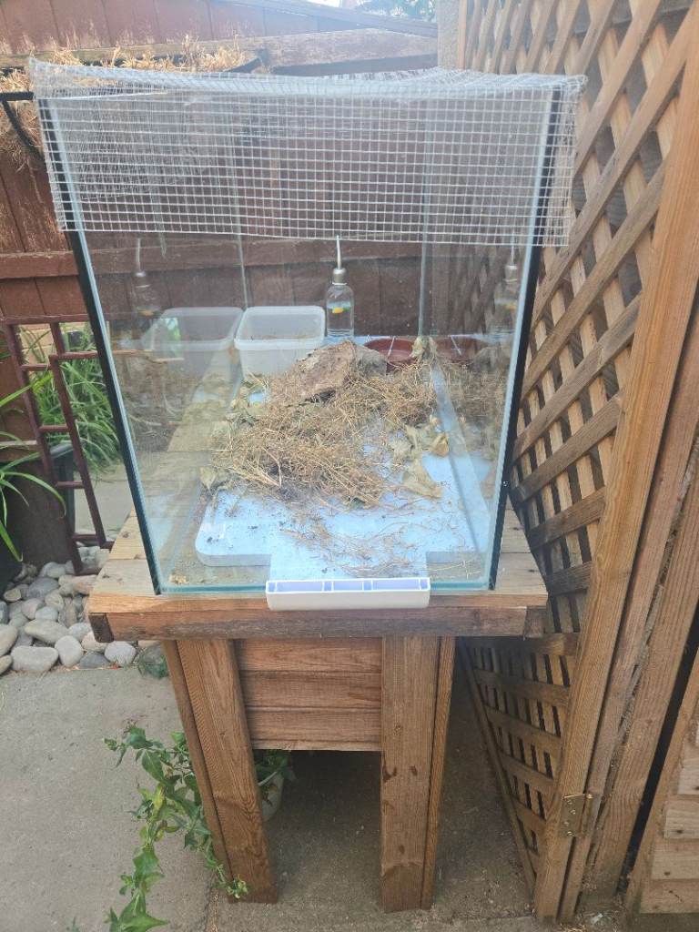 glass tank 