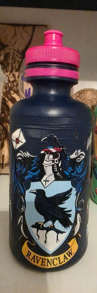 Harry Potter Ravenclaw Water Bottle - Blue with Pink Lid