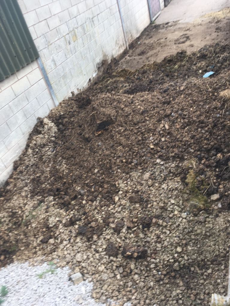 Horse manure free to collector 