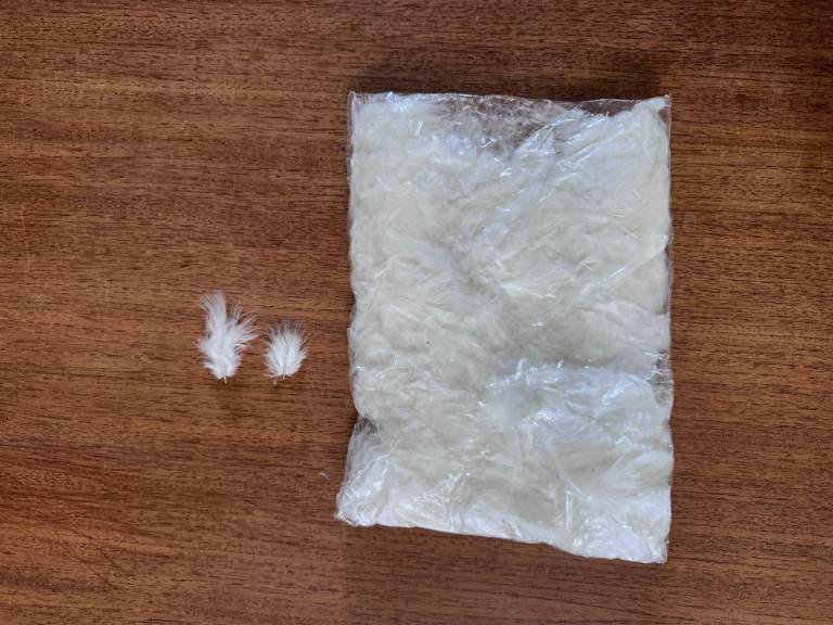 FREE bag of white feathers. Arts and craft / scrapbook / pillow stuffing