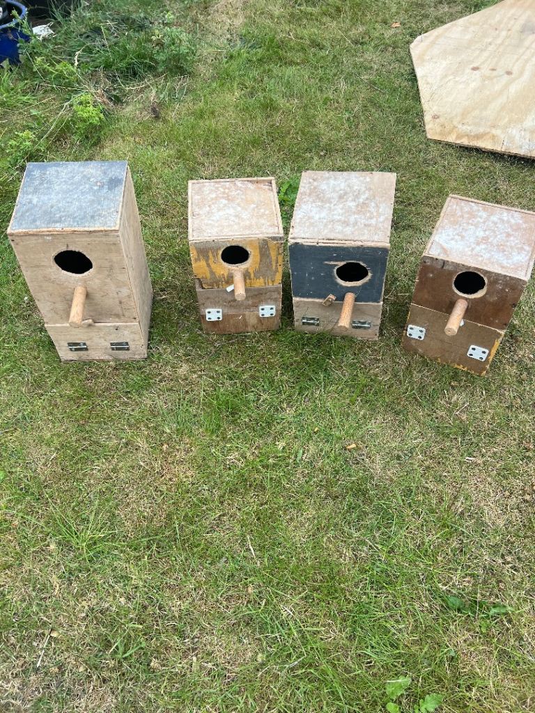 Bird houses 