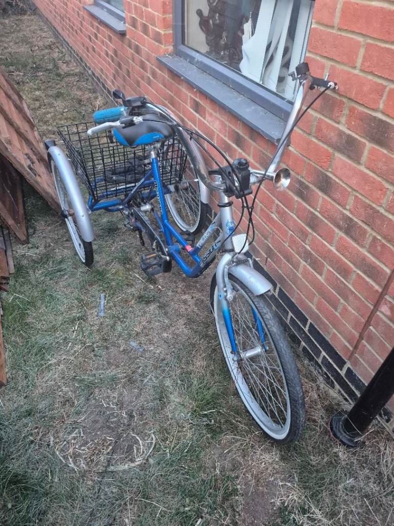 Adult Tricycle (Trike) with Basket – Good Condition
