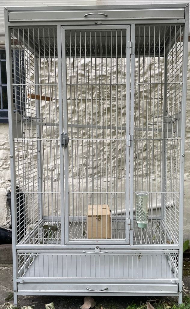 Bird cage
